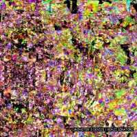 500x500