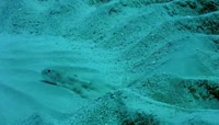 560x320
