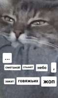 638x1080