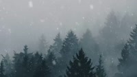 640x360