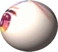 216x194