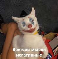 1065x1080