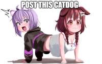 713x447