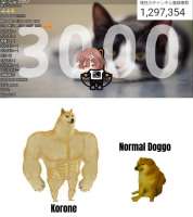 608x680