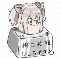 982x954