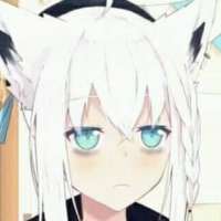 319x319