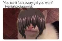 460x306