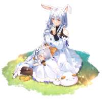 2560x2480