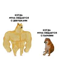 720x720