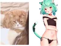 606x461