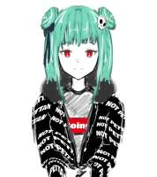 1069x1200
