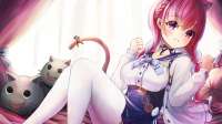 3000x1688