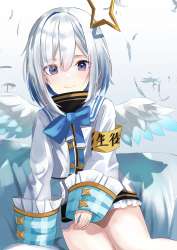 2635x3702
