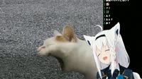 1280x720