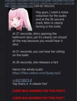 381x496