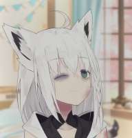 1041x1080