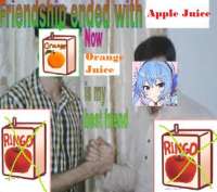 546x485