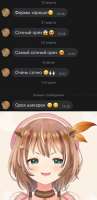 482x991