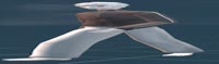 1200x357