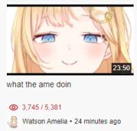 242x233