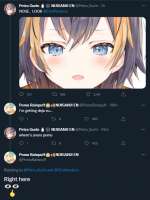 598x795