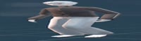 1200x357
