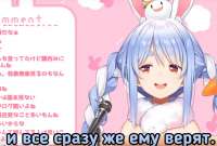 2646x1795