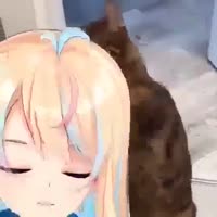 426x426