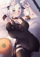 2417x3411