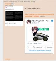 834x910