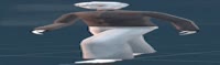 1200x357