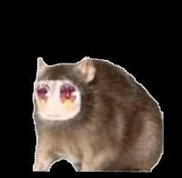 498x489