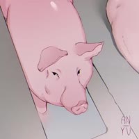 720x720