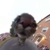 340x337