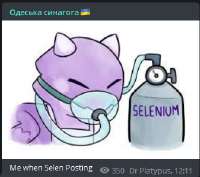 333x296