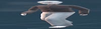 1200x357