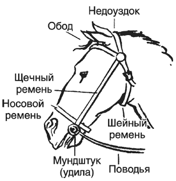 350x361