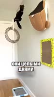 608x1080