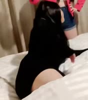 366x414