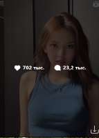 295x411