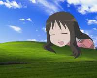 604x486