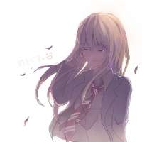 736x736