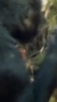 608x1080