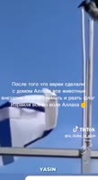 464x848