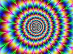 259x194