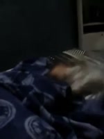 320x426