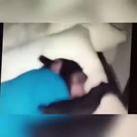 360x360