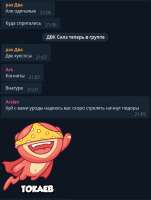 546x719