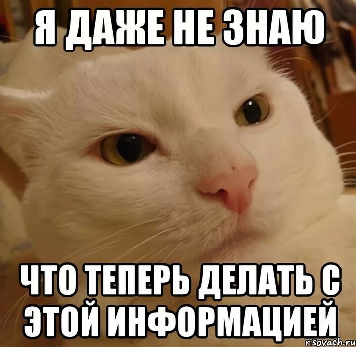 720x701