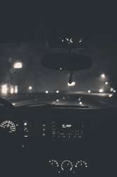 683x1024